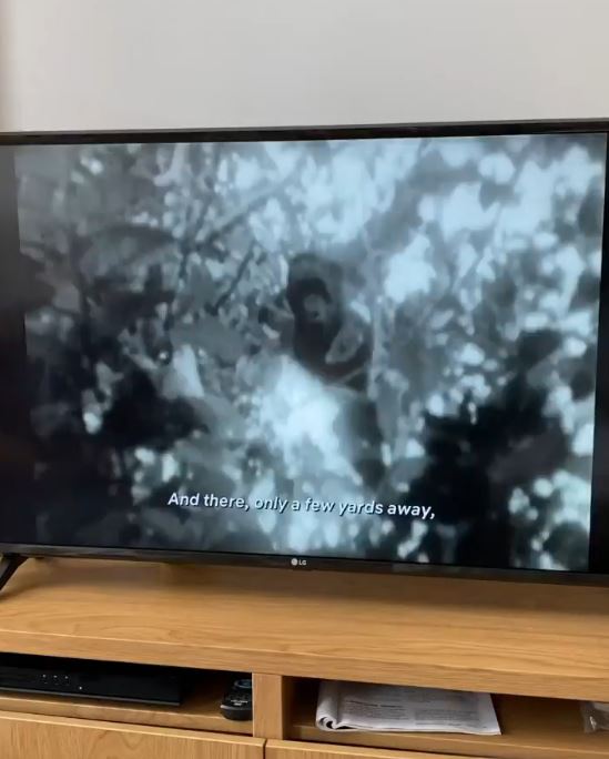 10 Penampakan rumah Hannah Al Rashid di London, indah dan nyaman