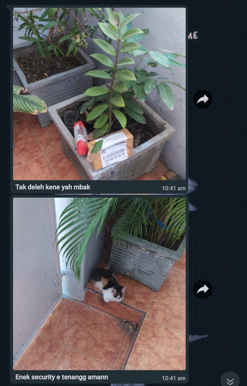 10 Chat foto penerima paket dari kurir, bikin nyengir tepuk jidat