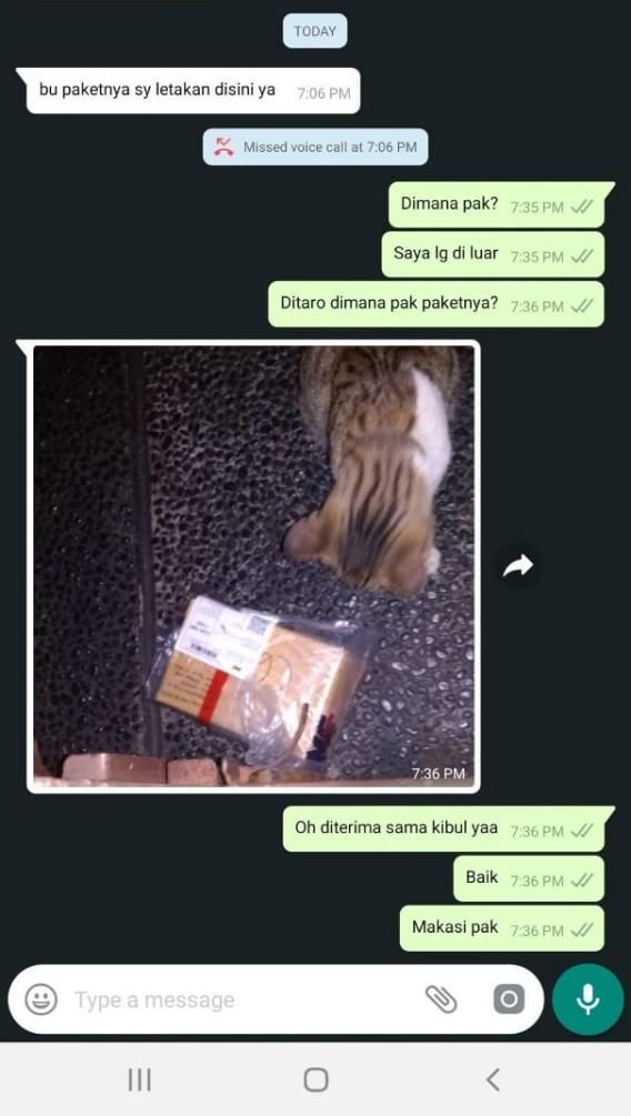 10 Chat foto penerima paket dari kurir, bikin nyengir tepuk jidat