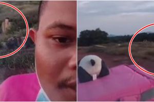  Viral driver ojek online dapat orderan mistis, nyasar ke kuburan