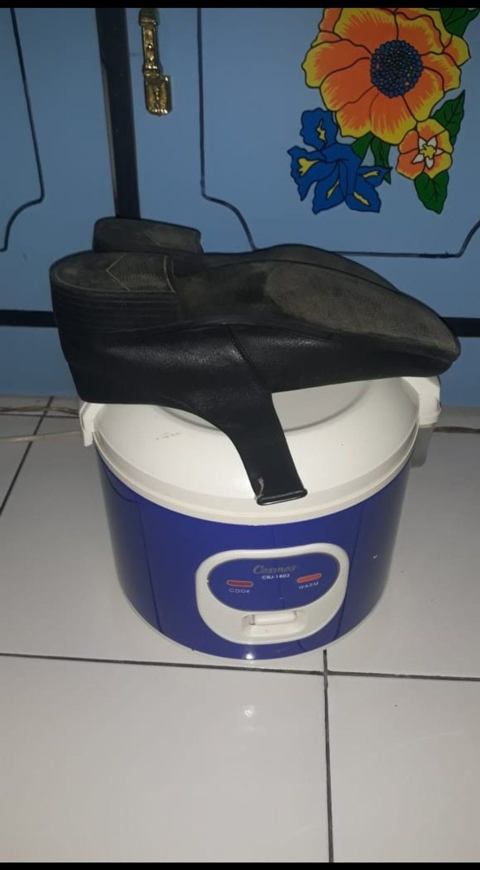 Nggak buat masak nasi, 11 pemakaian rice cooker ini nyeleneh abis