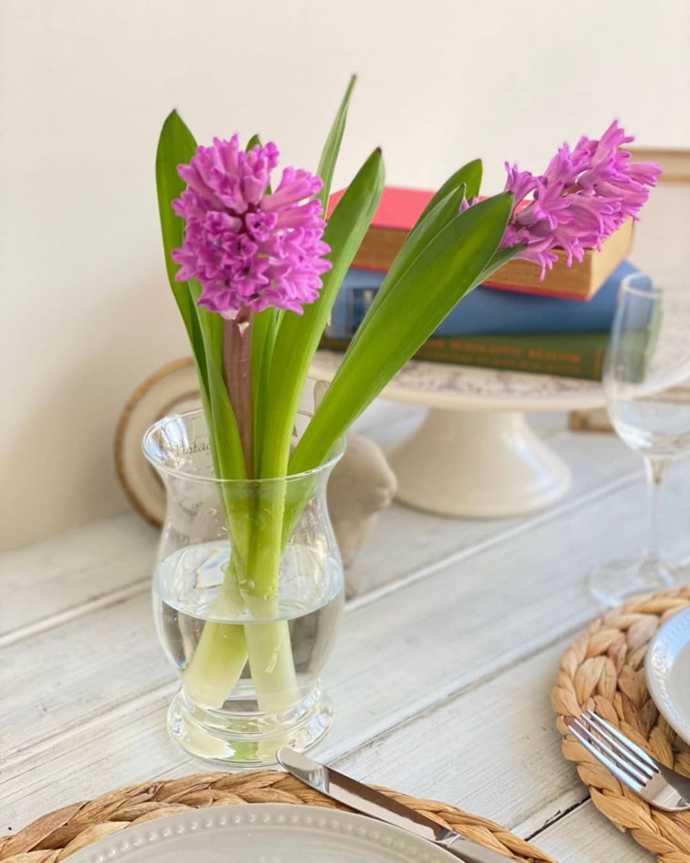 10 Tanaman hidroponik bunga, bikin rumah makin segar dan asri