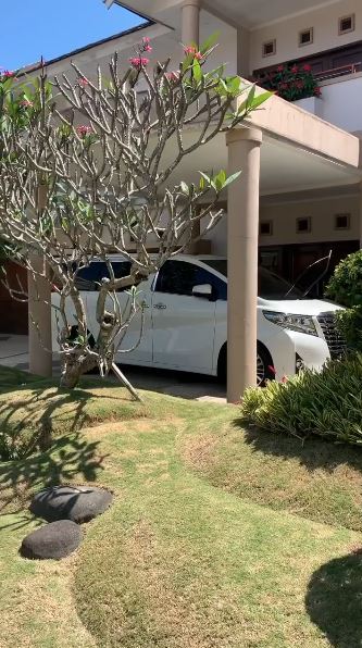 9 Potret rumah Vega Darwanti, halaman depannya bikin betah piknik