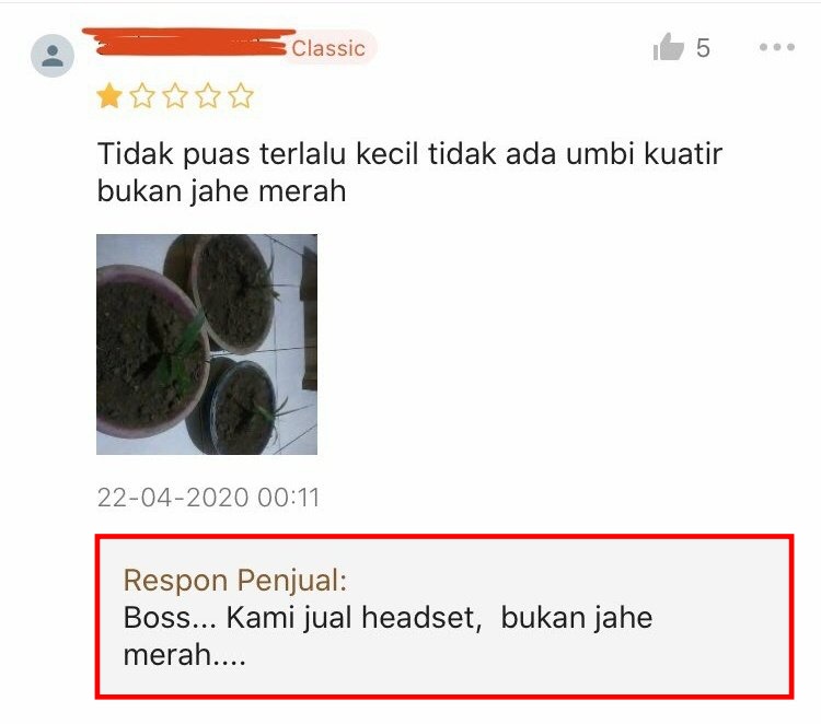 10 Respons penjual di review bintang satu, bikin senyum ngelus dada
