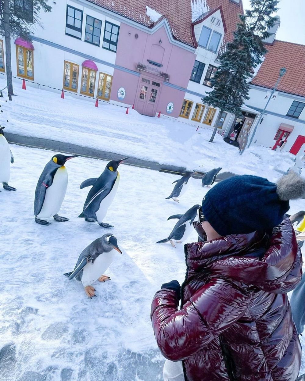 8 Momen liburan musim dingin Syahrini di Jepang, gemes lihat penguin