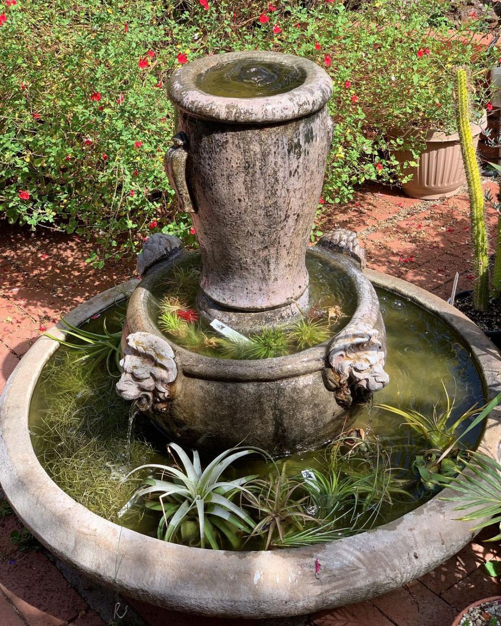 10 Tanaman hidroponik yang tahan panas, cantik jadi hiasan outdoor