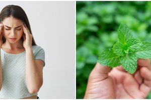 9 Tanaman obat vertigo, alami, ampuh, dan mudah ditemukan