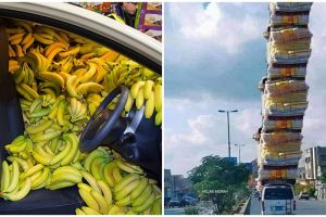 10 Penampakan mobil penuh barang belanjaan, bikin kerutin dahi