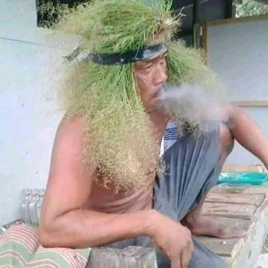 10 Potret kreasi nyeleneh benda dari daun, idenya bikin ngakak