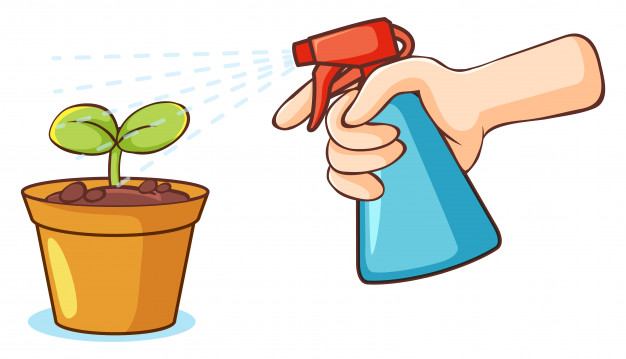 6 Alat penting untuk tanaman hidroponik bagi pemula
