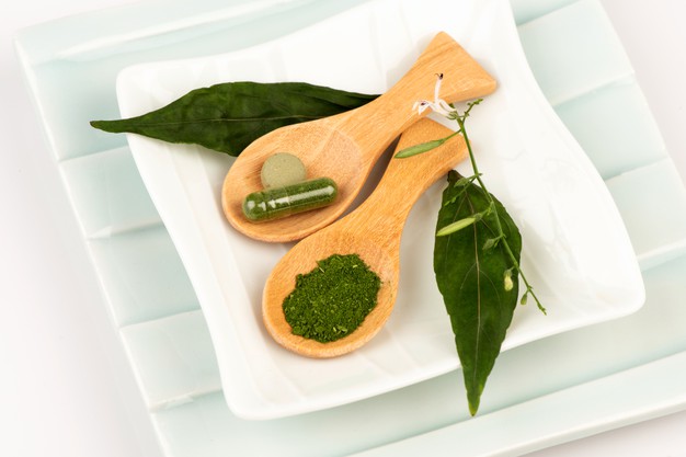 Lidah mertua dan 6 tanaman ini jadi penangkal ular, mudah dirawat