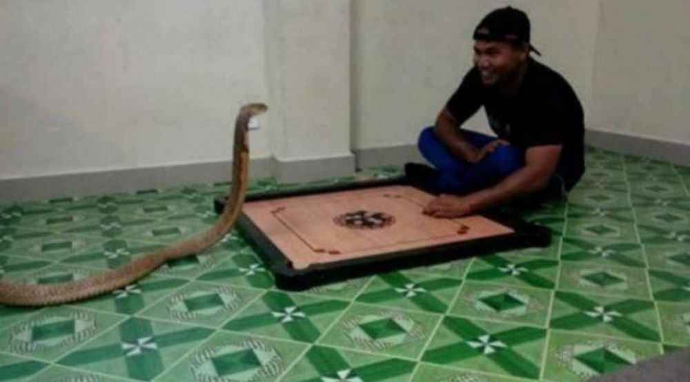 8 Tingkah nyeleneh saat main karambol ini malah bikin cekikikan