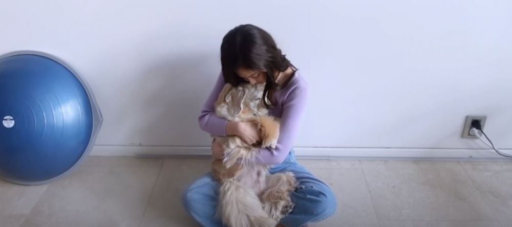 10 Potret rumah Jennie Blackpink, berkonsep modern minimalis