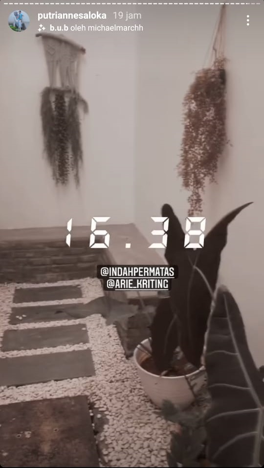 Penampakan mini garden 6 seleb, punya Arya Saloka curi perhatian