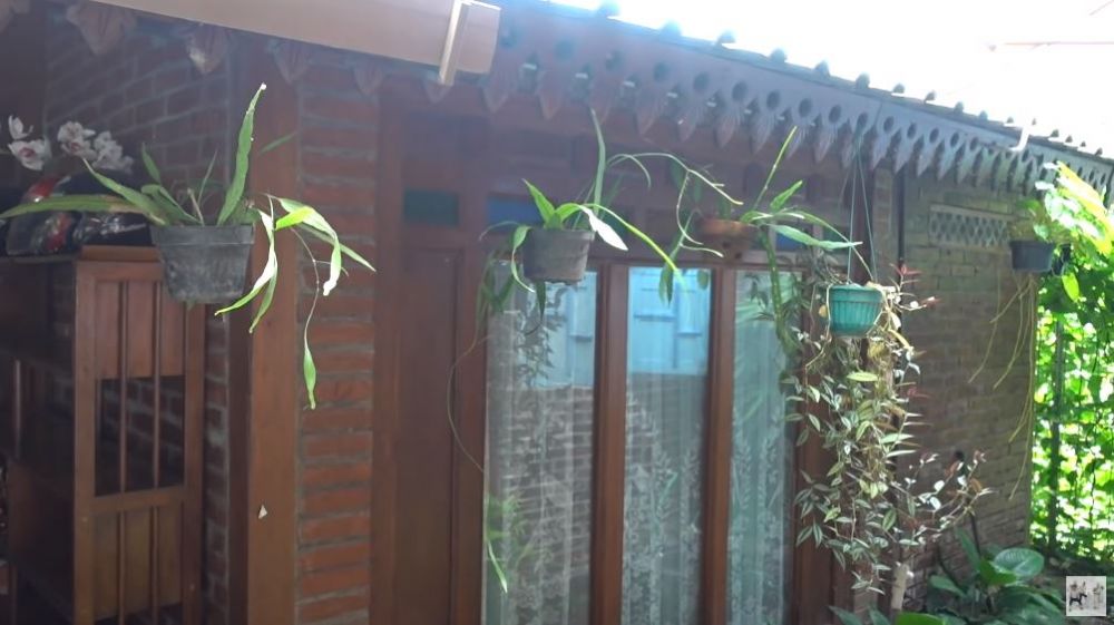 8 Potret kos tempat tinggal adik Zaskia Adya Mecca, mepet sawah