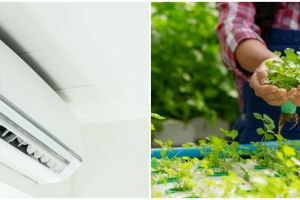5 Manfaat air AC untuk tanaman hidroponik jadi lebih sehat