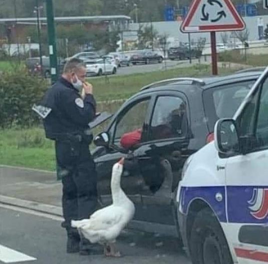 10 Momen pas di tempat parkir ini bikin lihat dua kali