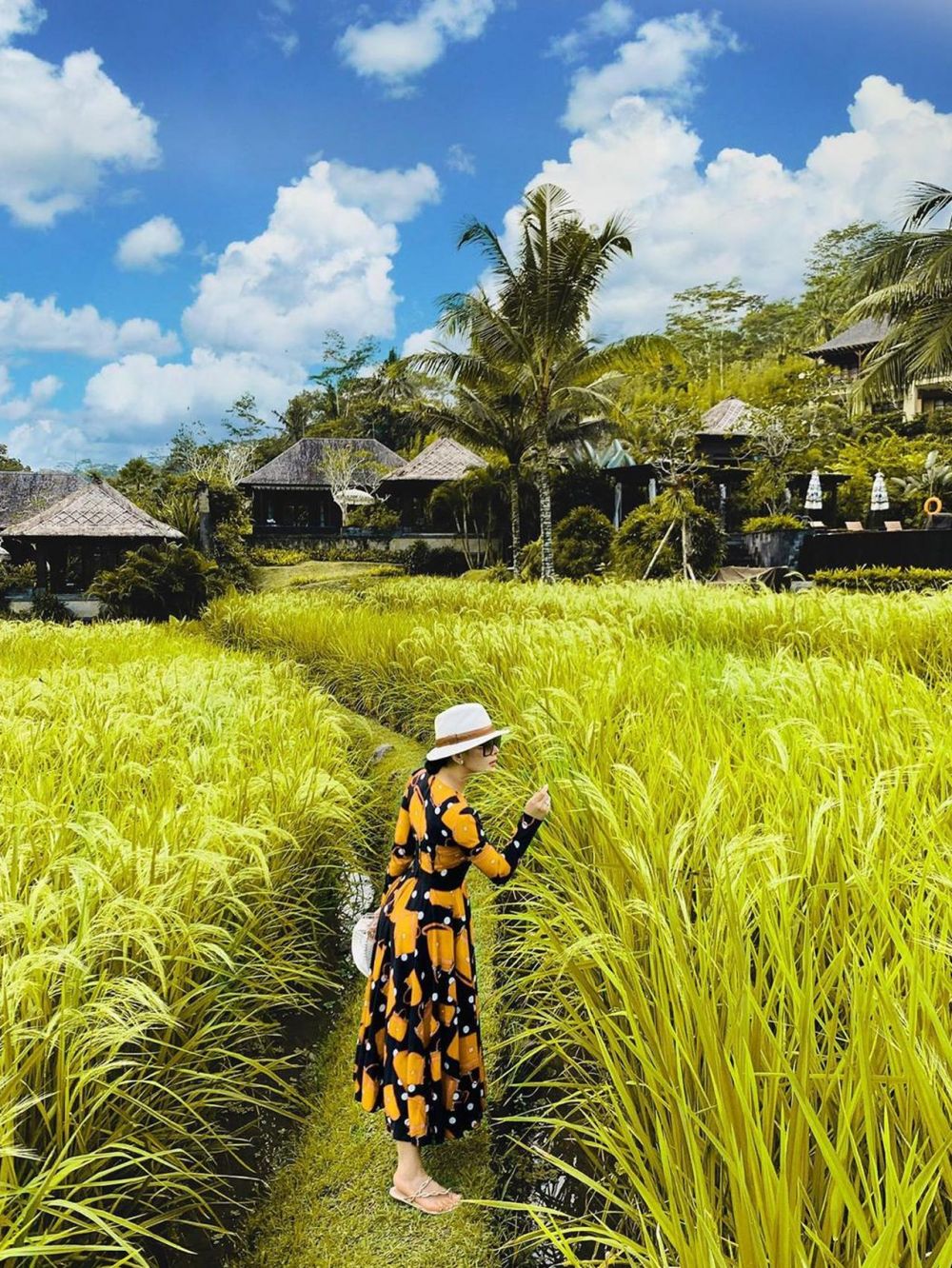 Beda gaya 10 seleb cantik pemotretan di sawah, Wulan Guritno memesona