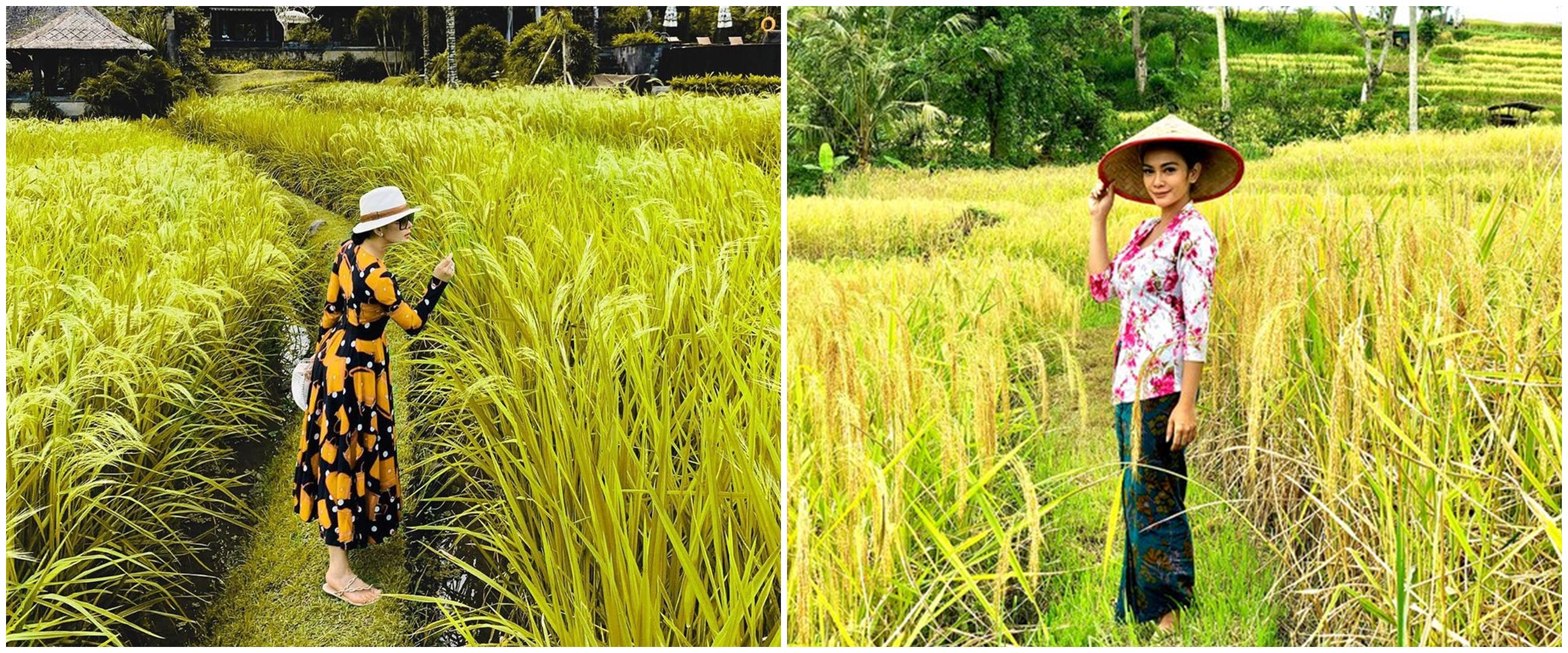 Beda gaya 10 seleb cantik pemotretan di sawah, Wulan Guritno memesona