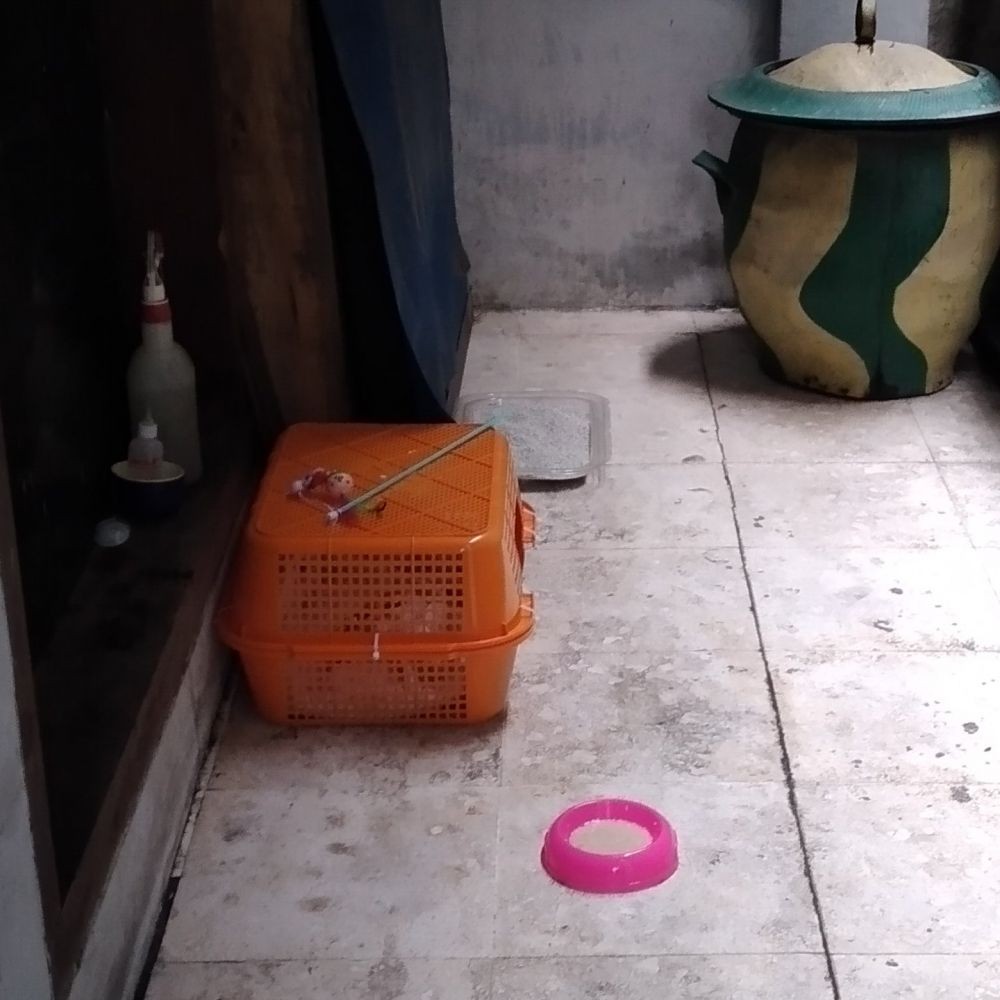 10 Potret kandang low budget desainnya unik, ada dari kipas angin