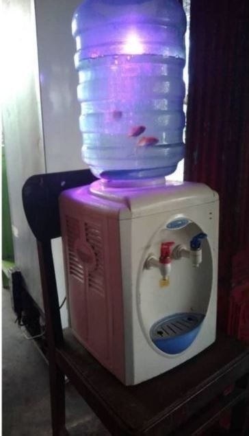 10 Potret kandang low budget desainnya unik, ada dari kipas angin