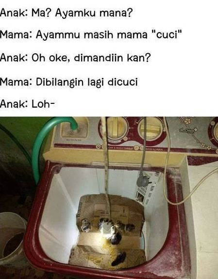 10 Potret kandang low budget desainnya unik, ada dari kipas angin