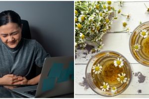 8 Tanaman obat mengatasi asam lambung kronis, tanpa efek samping