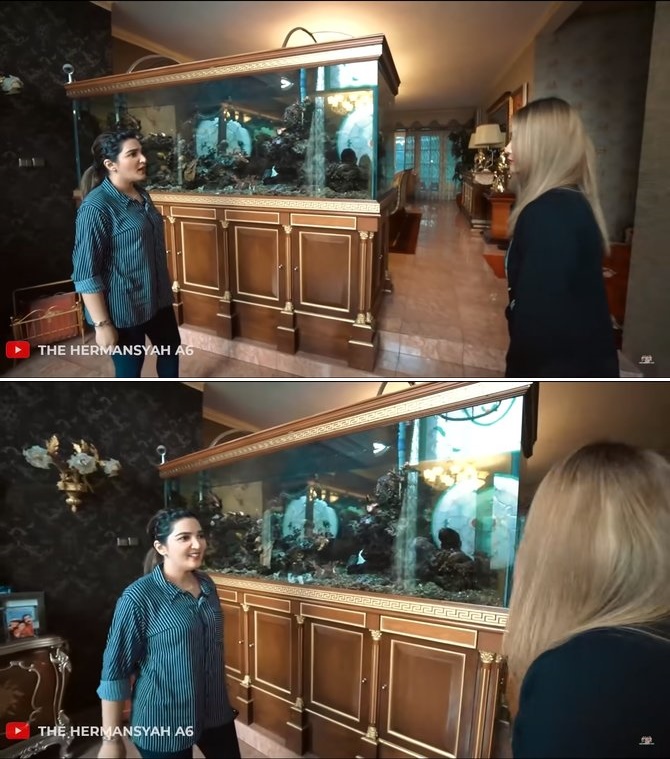 Potret akuarium mewah 5 seleb, ada yang ditaksir senilai Rp 500 juta