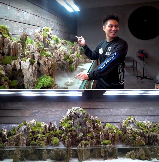 Potret akuarium mewah 5 seleb, ada yang ditaksir senilai Rp 500 juta