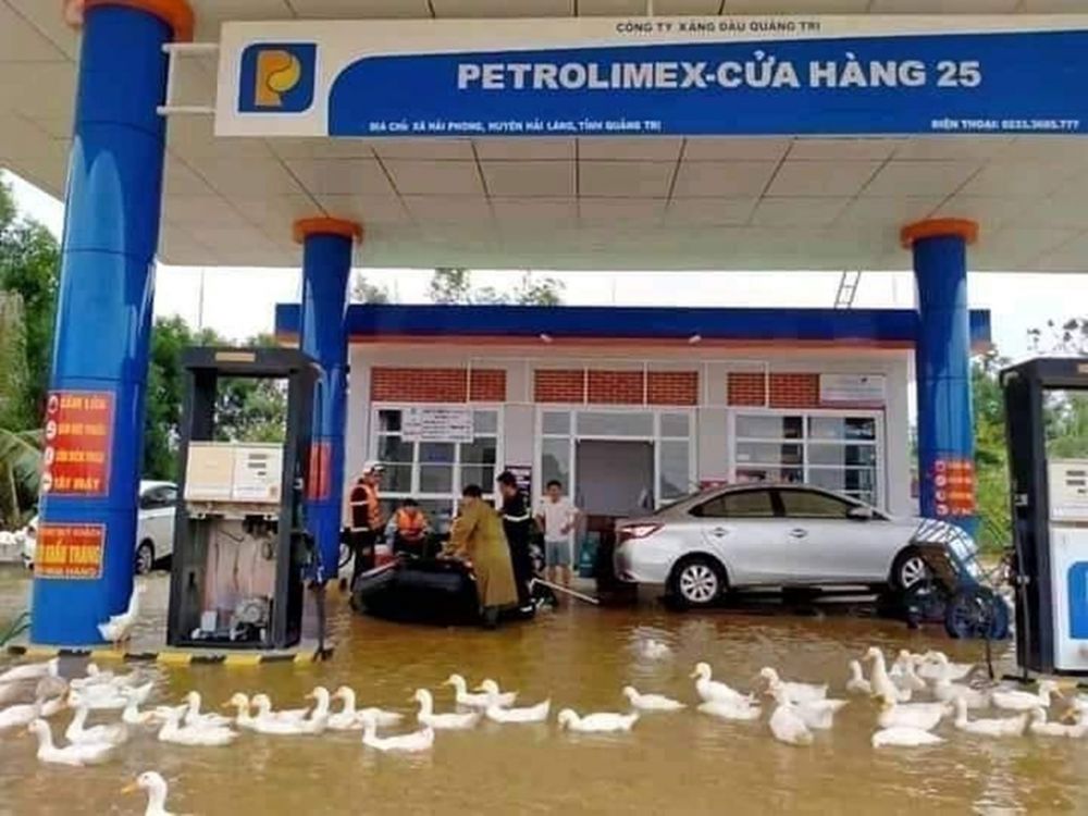 10 Aksi nyeleneh kalau hewan lagi gabut, bikin bingung manusia