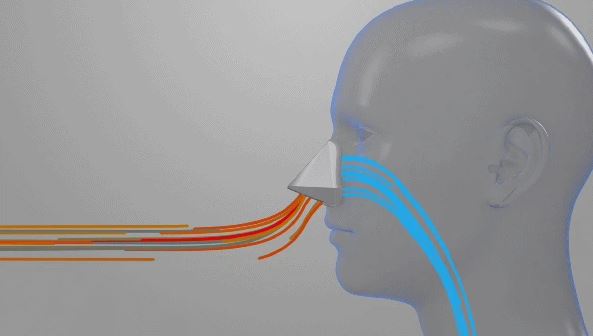 Teknologi filter udara portabel mirip hidung anjing ini bikin heran