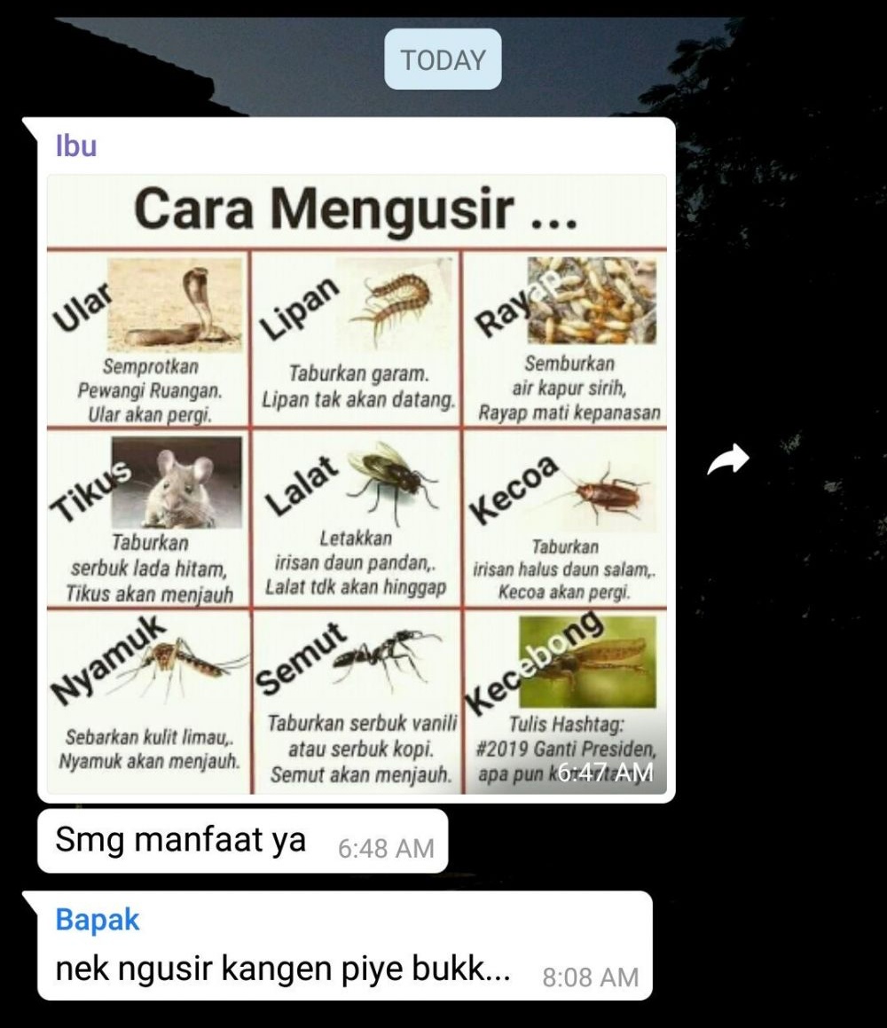 12 Chat broadcast lucu di grup WhatsApp keluarga, receh abis