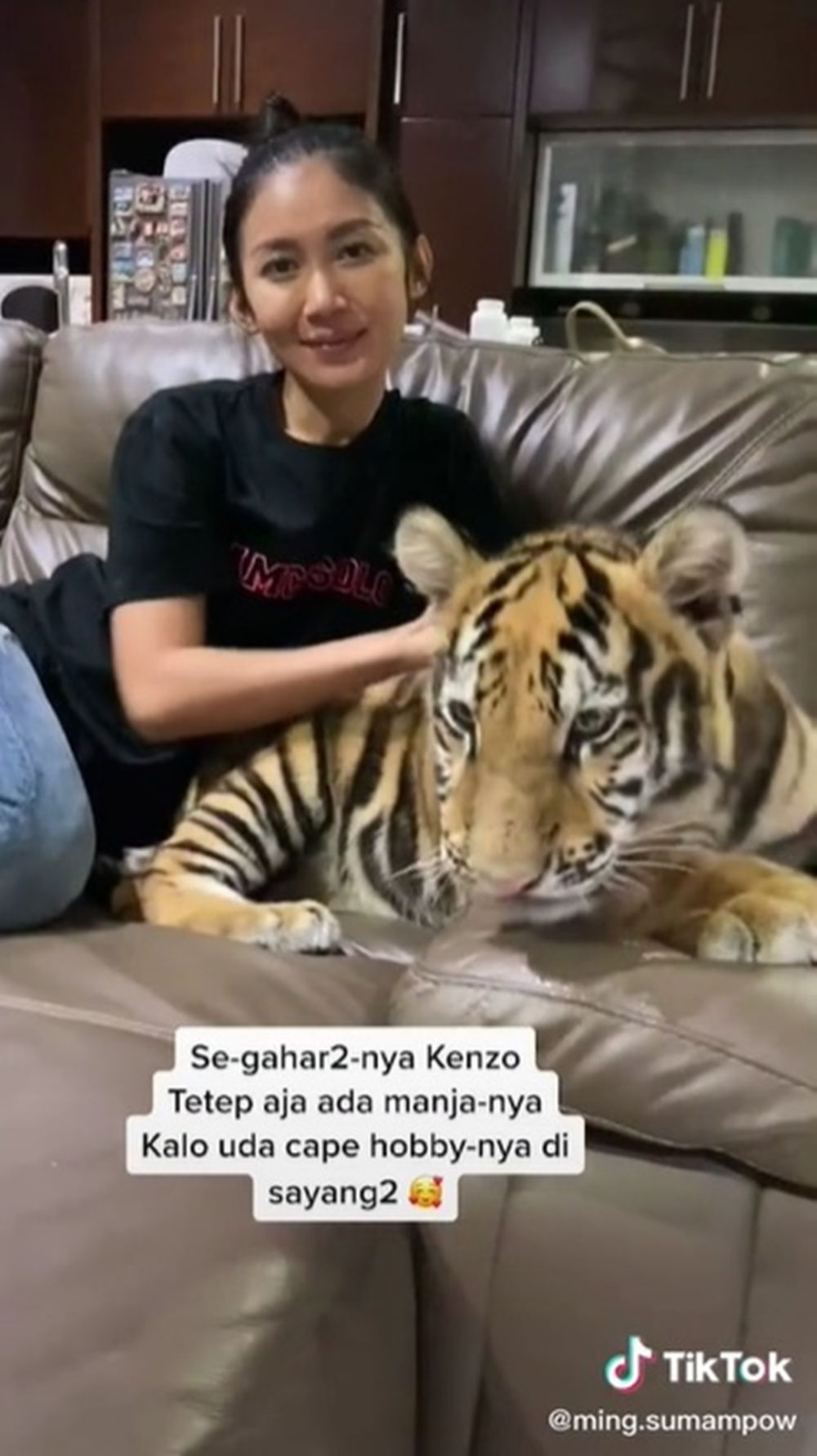 10 Potret Kenzo harimau yang dipelihara bebas di rumah hunian keluarga