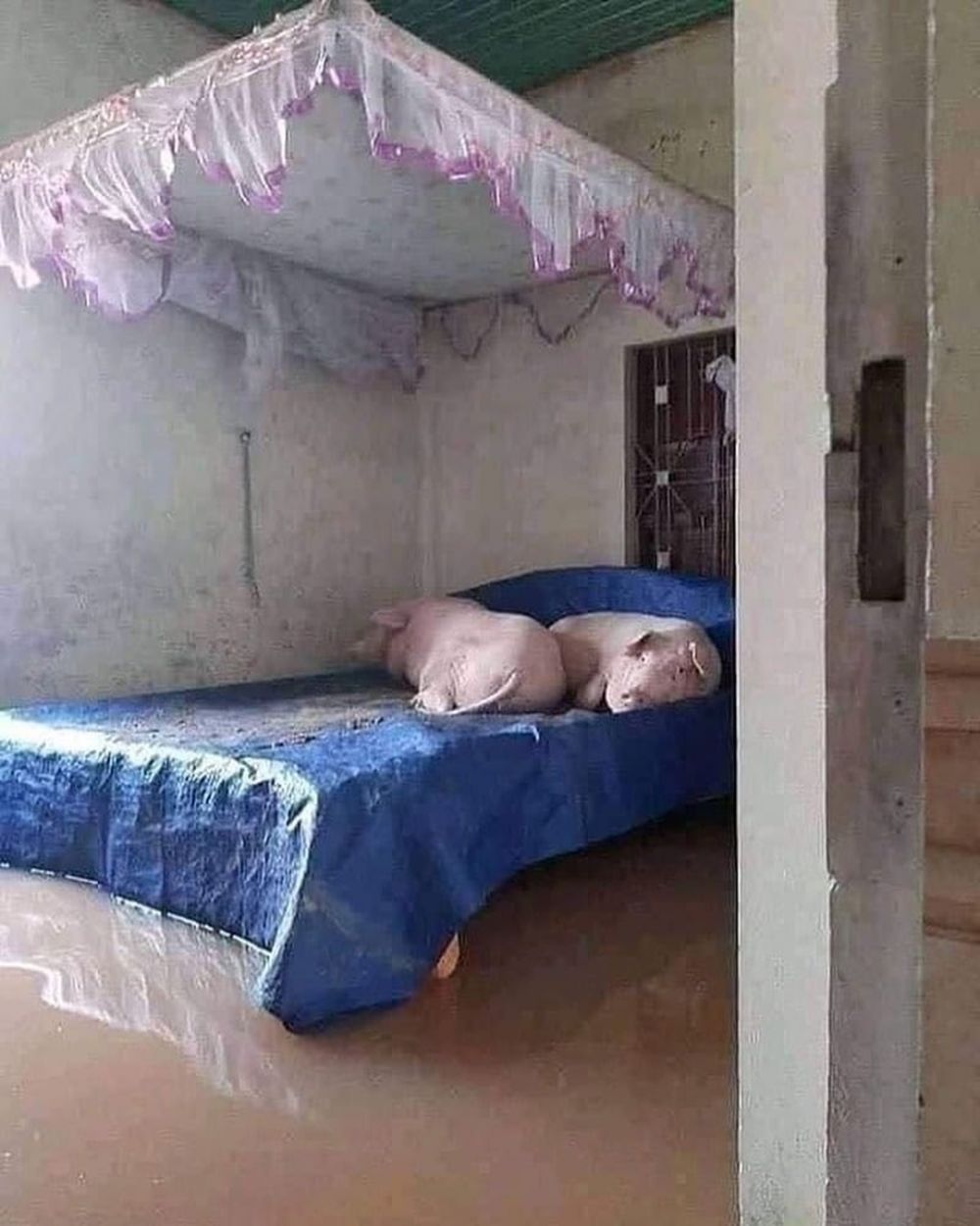 20 Potret kasur absurd ini bentuknya bikin meringis