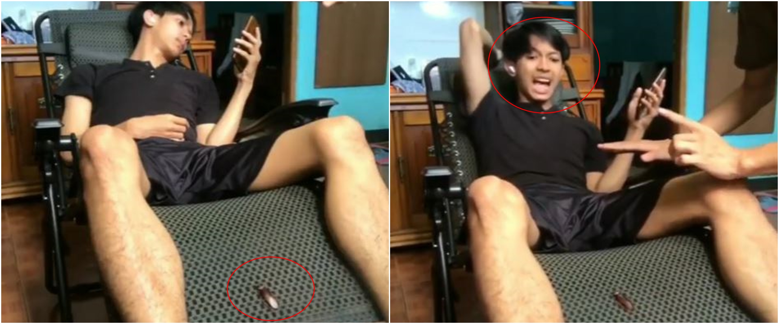 6 Video momen absurd manusia vs kecoak, lucu tapi bikin merinding