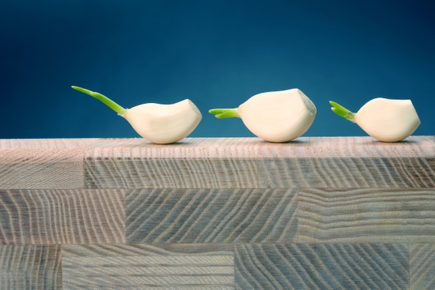 9 Tanaman pengusir ular paling ampuh, ada lidah mertua sampai lavender