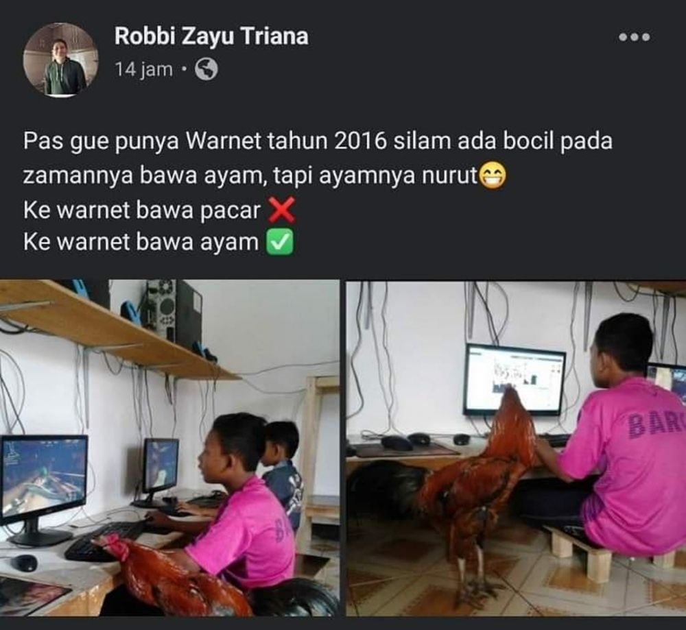 10 Tingkah kocak ayam di tempat umum ini lucunya bikin geleng kepala