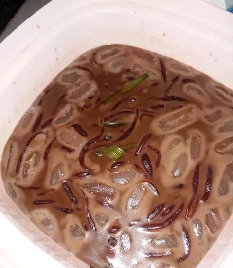 resep minuman es kolang kaling Instagram/ cookpad © 2021 brilio.net resep minuman es kolang kaling Instagram/ cookpad © 2021 brilio.net