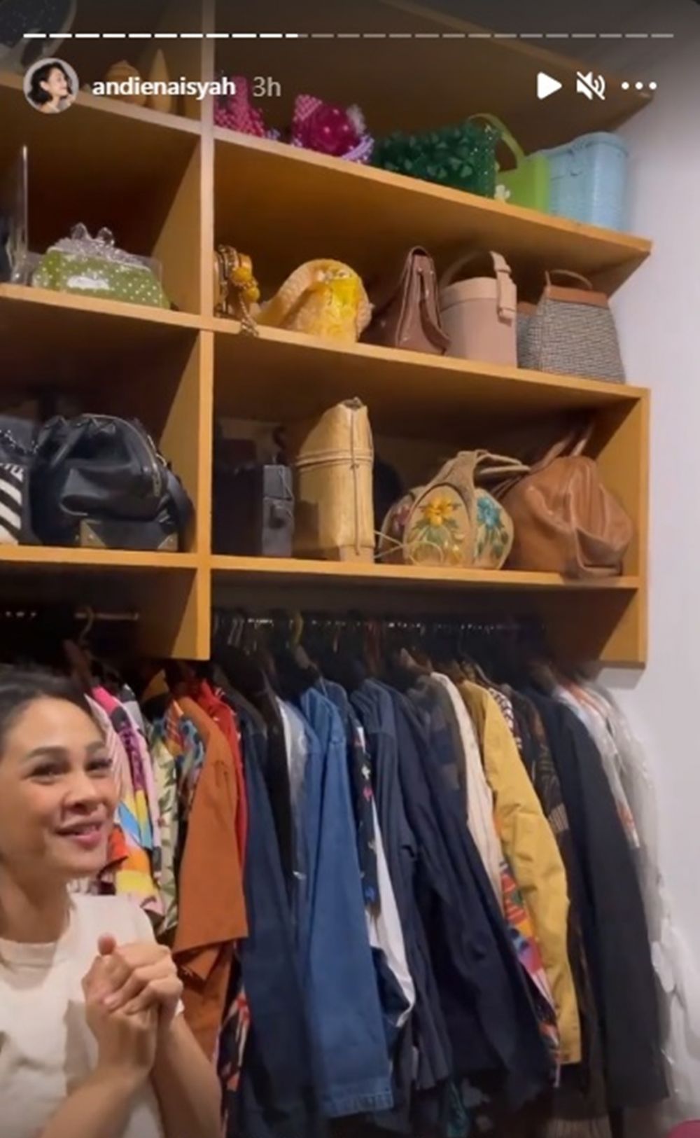 Intip 10 potret walk in closet Andien Aisyah, ada ruang declutter-nya