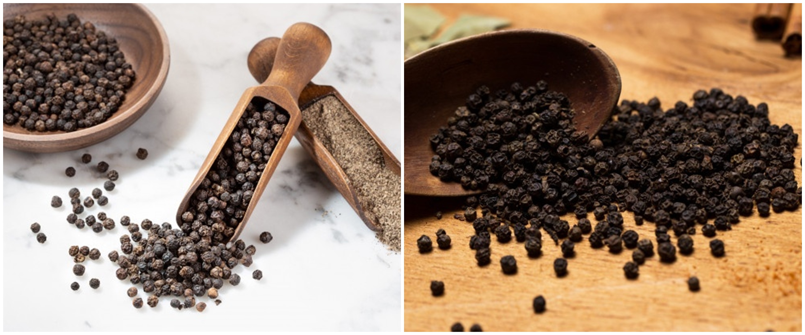 Cara menanam lada buat pemula, solusi untuk lahan sempit