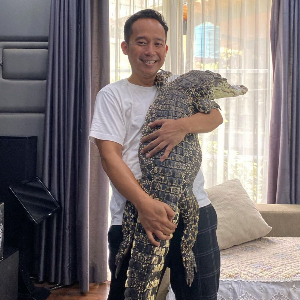 7 Momen Denny Cagur main dengan buaya di rumah, jadi sorotan