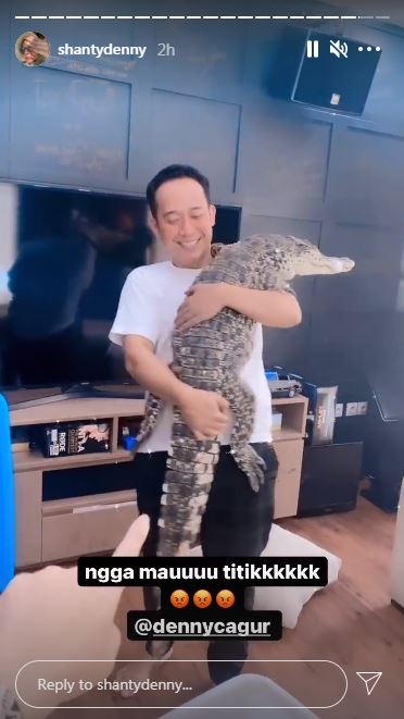 7 Momen Denny Cagur main dengan buaya di rumah, jadi sorotan