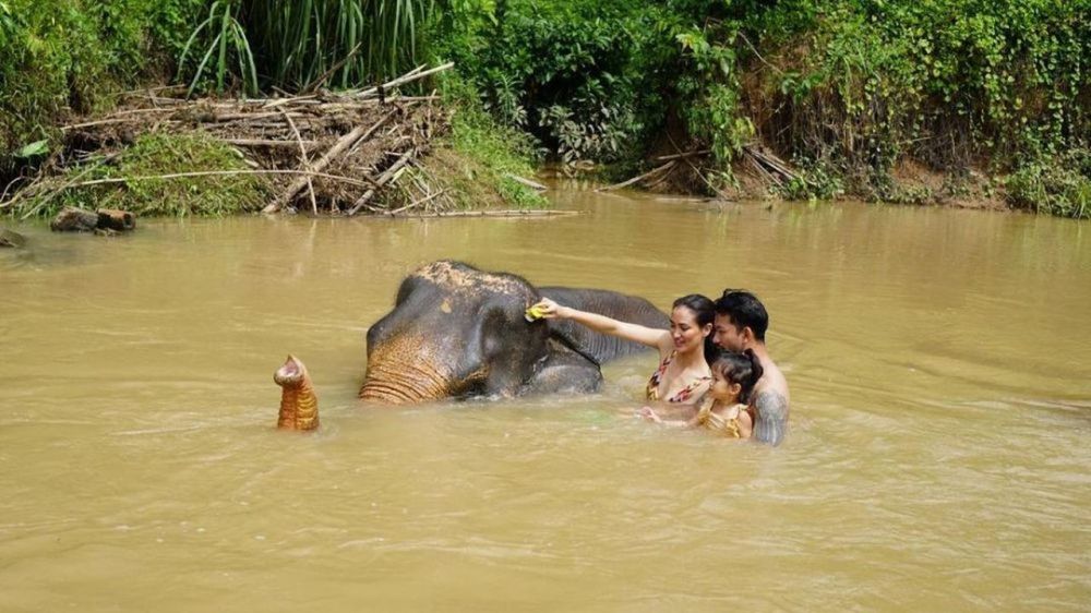 7 Seleb ini ajak anak jelajah alam, ada yang mandikan gajah di sungai
