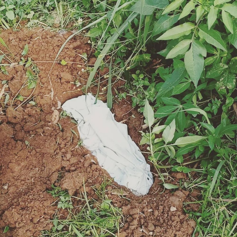 7 Momen Umi Pipik kuburkan kucing korban tabrak lari, tuai pujian