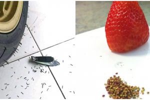 9 Potret orang kurang kerjaan ini aksinya bikin gigit jari