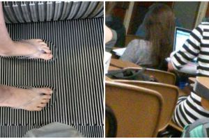 10 Penampakan benda tersamar dengan baik, bikin lihat berulang kali