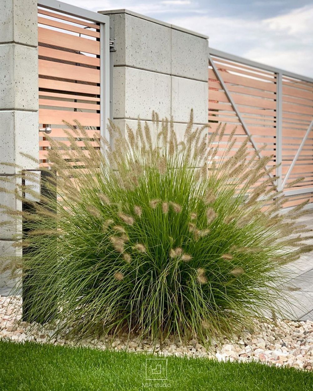 10 Jenis tanaman hias daun yang paling ramai dicari, termasuk keladi