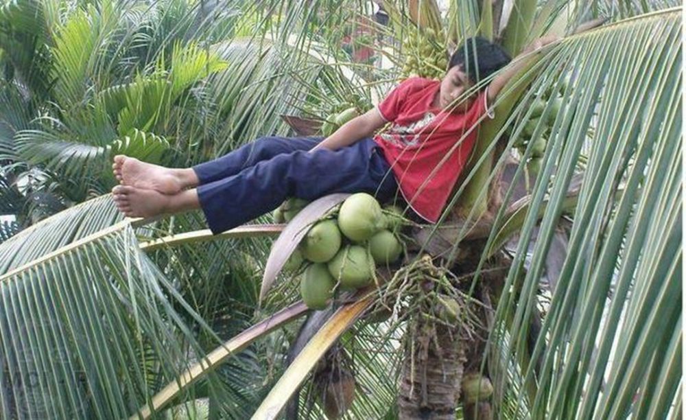 19 Potret terlanjur ngantuk berat ini bikin nahan senyum