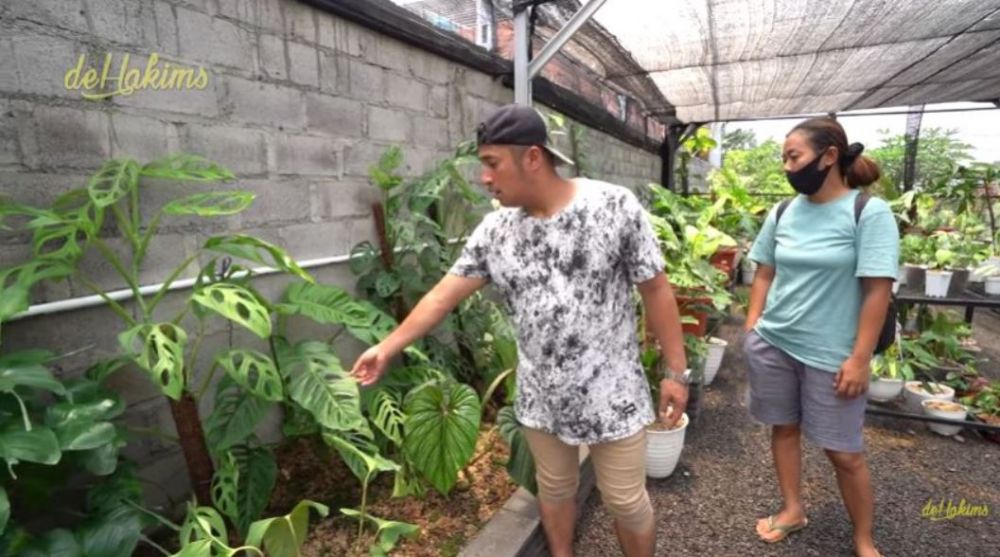 10 Potret koleksi tanaman hias di kebun Soimah, ada janda bolong