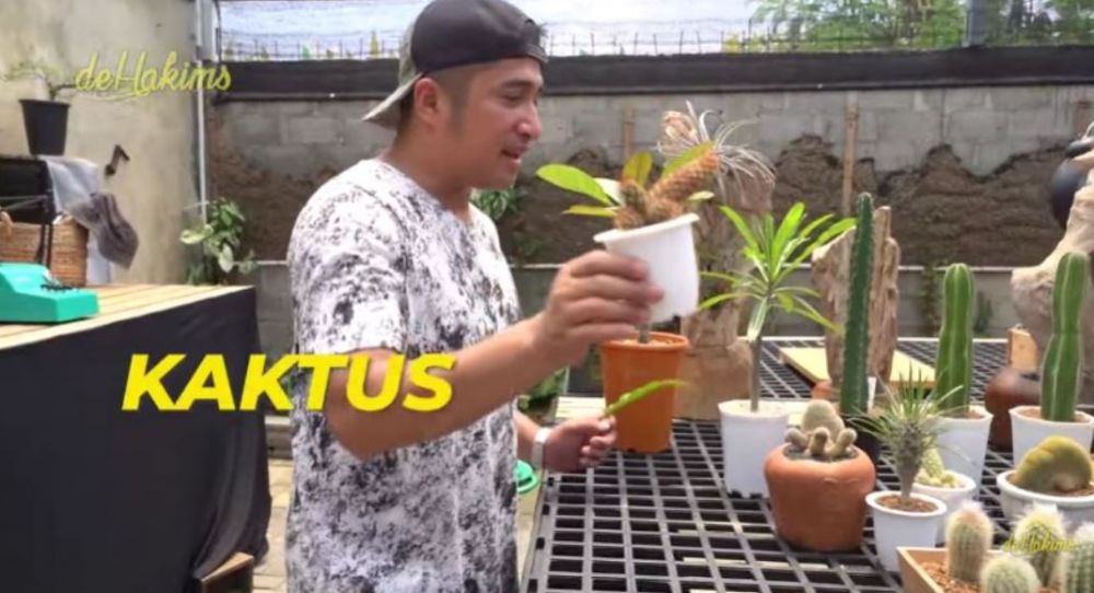 10 Potret koleksi tanaman hias di kebun Soimah, ada janda bolong